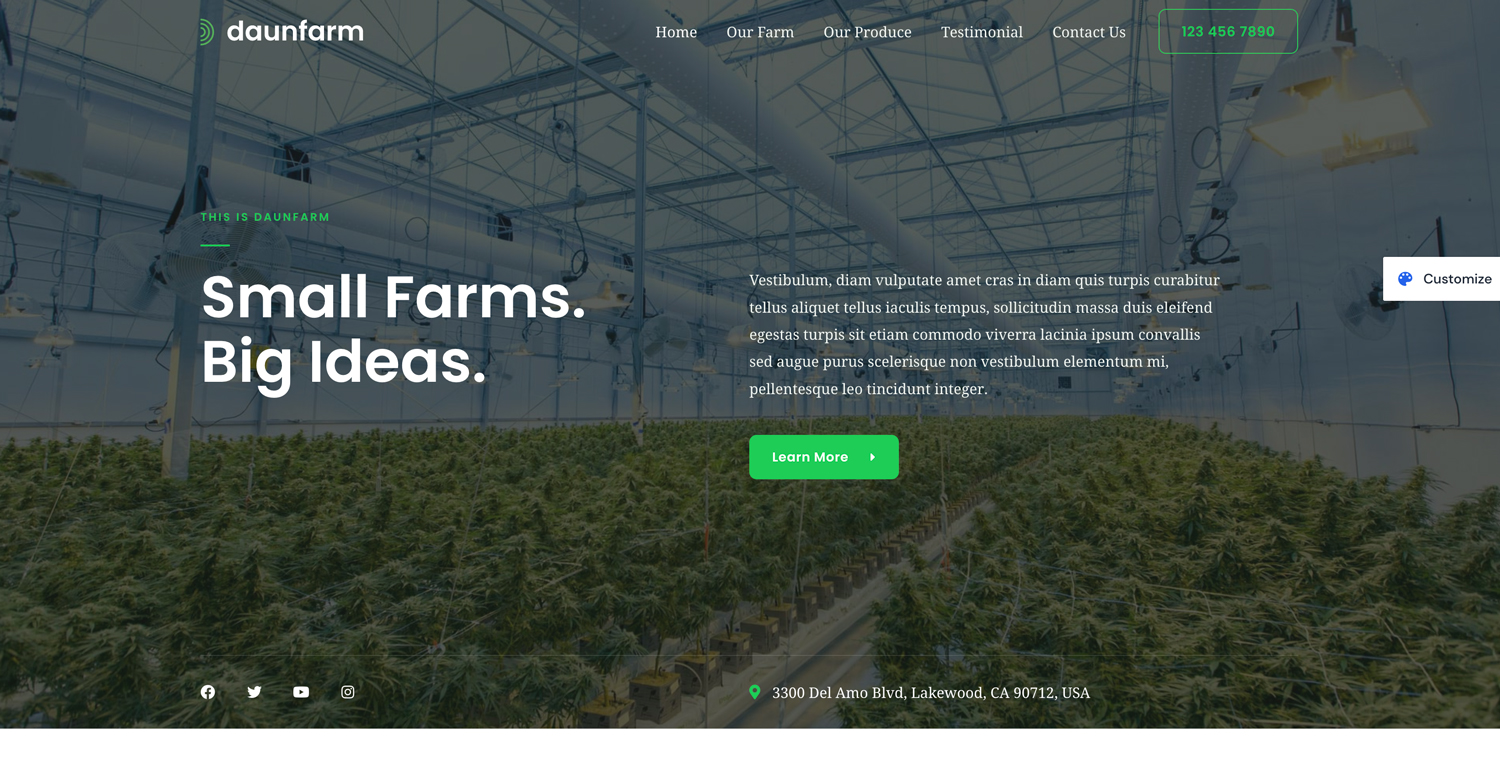 Image hover effect image